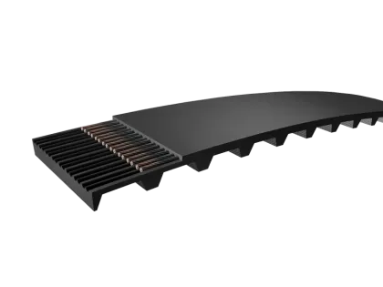 PHG_118-XL-031_36370