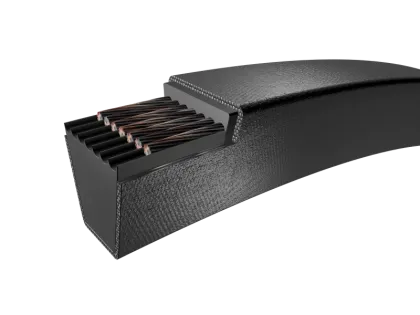 PHG_SPA1220_35123