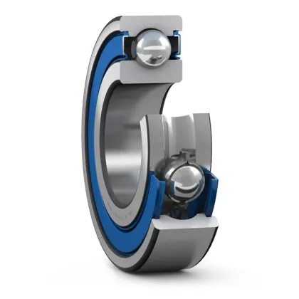 W_6006-2RS1_VP311_17705